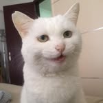 @milton.wu - Instagram