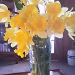 Mimi Boyd - Facebook
