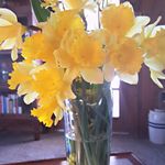 Mimi Boyd - @mimiboyd44 - Instagram