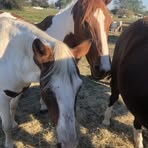 Mimi Carroll - Facebook
