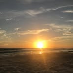 Mimi Carroll - Facebook