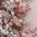 Mimi Chow - Facebook