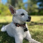Mimi - @mimi.diaz._ - Instagram