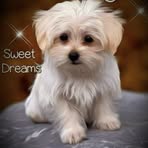 Mimi English - Facebook