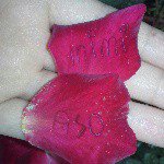 mimi english - @mimienglish - Instagram