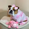 Mimi - @mimitheenglishbulldog - TikTok