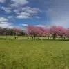 Mimi - @mimihui8 - TikTok