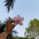 Mimi M James - @mimijames211 - Instagram