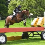 Mimi Jones - @mimi.j.equestrian - Instagram