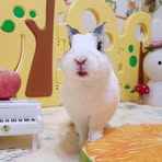 Mimi Kuo - Facebook