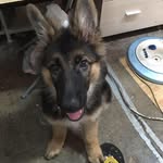 Mimi Kwok - @mimi.kwok.144 - Instagram