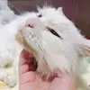 yumimikwok - @2149933315 - TikTok