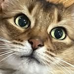 @mimi_leongabriel - Instagram