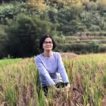 Mimi Loh - @lohmimi - Instagram