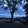mimigrunloh - @dianagrunloh1 - TikTok