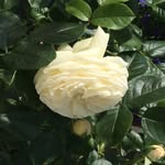 Mirka - @mimi.lohr - Instagram
