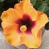 MimiMartin - @mimi77martin - TikTok