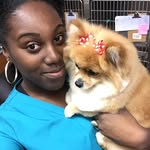 Mimi Matthews - @mimispuppycutz - Instagram