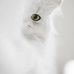Mimi Moon - Facebook