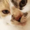 🦋MimiMoon🦋 - @mimimoon.danamai - TikTok
