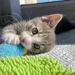 Milo Morton - @mimismorton - Instagram