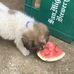 Mimi Nolan - Facebook