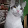 l - @mimioske - TikTok