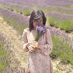 Mimi Phuong Nguyen - @mimiphuongnguyen - Instagram