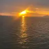 Mỹ phượng - @mimi_phuong - TikTok