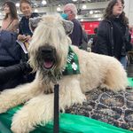 Mimi Saunders Phelan - @mjsaundersphelan - Instagram