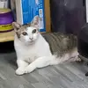 Mimi Vòng - @vongmimii - TikTok