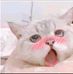 Min Chi - Facebook