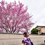 Brenda - @minchiutau - Instagram