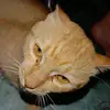 minchiu - @minchiu246 - TikTok