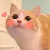 Mín Dai - @mindaiii - TikTok