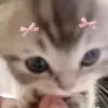 minhdan - @_mdan_ - TikTok