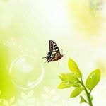 Min Ye Kyaw - @min_kyaw - Instagram