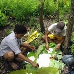 Myo Minkyaw - @myo.minkyaw - Instagram