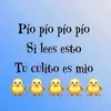 min_.lee - @min_.lee - TikTok