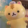 Min_lee - @min_lee_hihi - TikTok