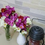 Min Noh - @noh.min - Instagram