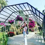 Alice Tham - @min_tham - Instagram