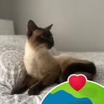 Mina Allen - Facebook