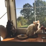Mína a Víla - @mina_a_vila - Instagram