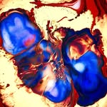 Brady Minahan - @bradyminahan - Instagram