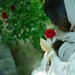 @_mina_gholami - Instagram