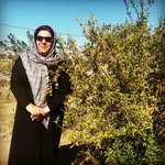 Mina.gholami - @12.86435 - Instagram