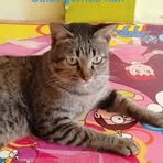 Mina Lambe - Facebook