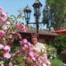 Mina Madani - Facebook