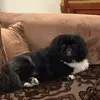 minamahdavipour - @minamahdavipour - TikTok